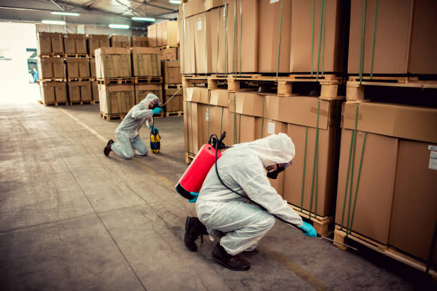 Best Mosquito Control Services  in Medicine Lodge, KS