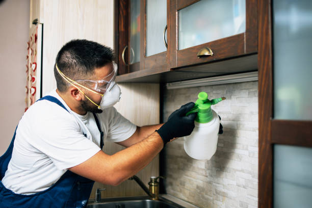 Best Best Pest Control Companies  in Medicine Lodge, KS