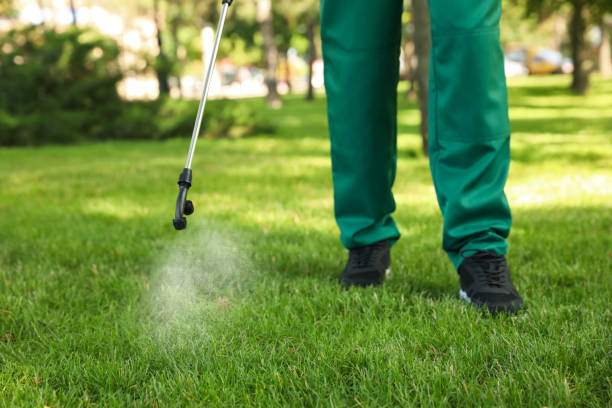 Professional Pest Control in Medicine Lodge, KS