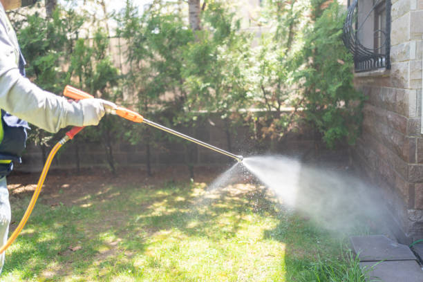Best Insect Control  in Medicine Lodge, KS
