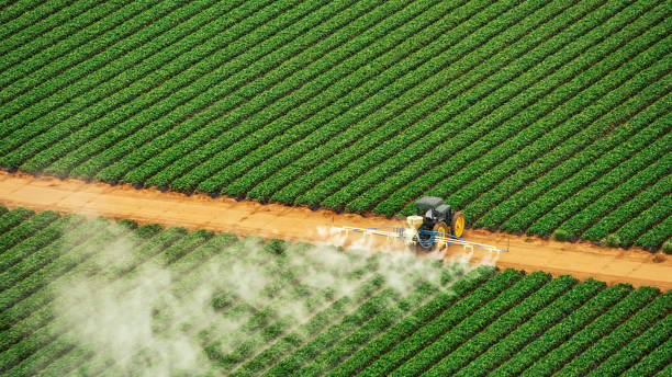 Best Local Pest Control Services  in Medicine Lodge, KS