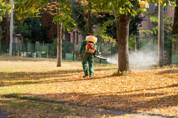 Best Termite Control Services  in Medicine Lodge, KS