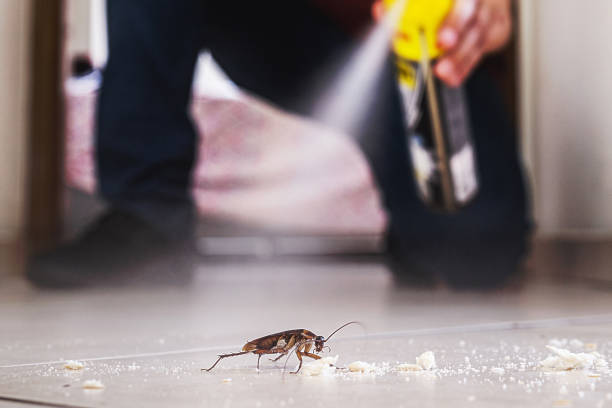 Best Residential Pest Control  in Medicine Lodge, KS