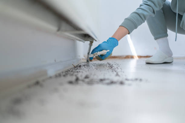 Best Pest Control for Restaurants  in Medicine Lodge, KS